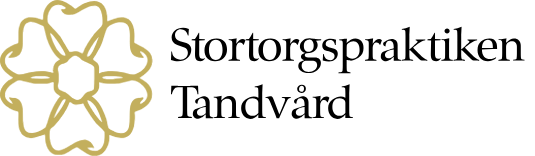 stortorgspraktiken-liggande-svart-webb.svg(1)